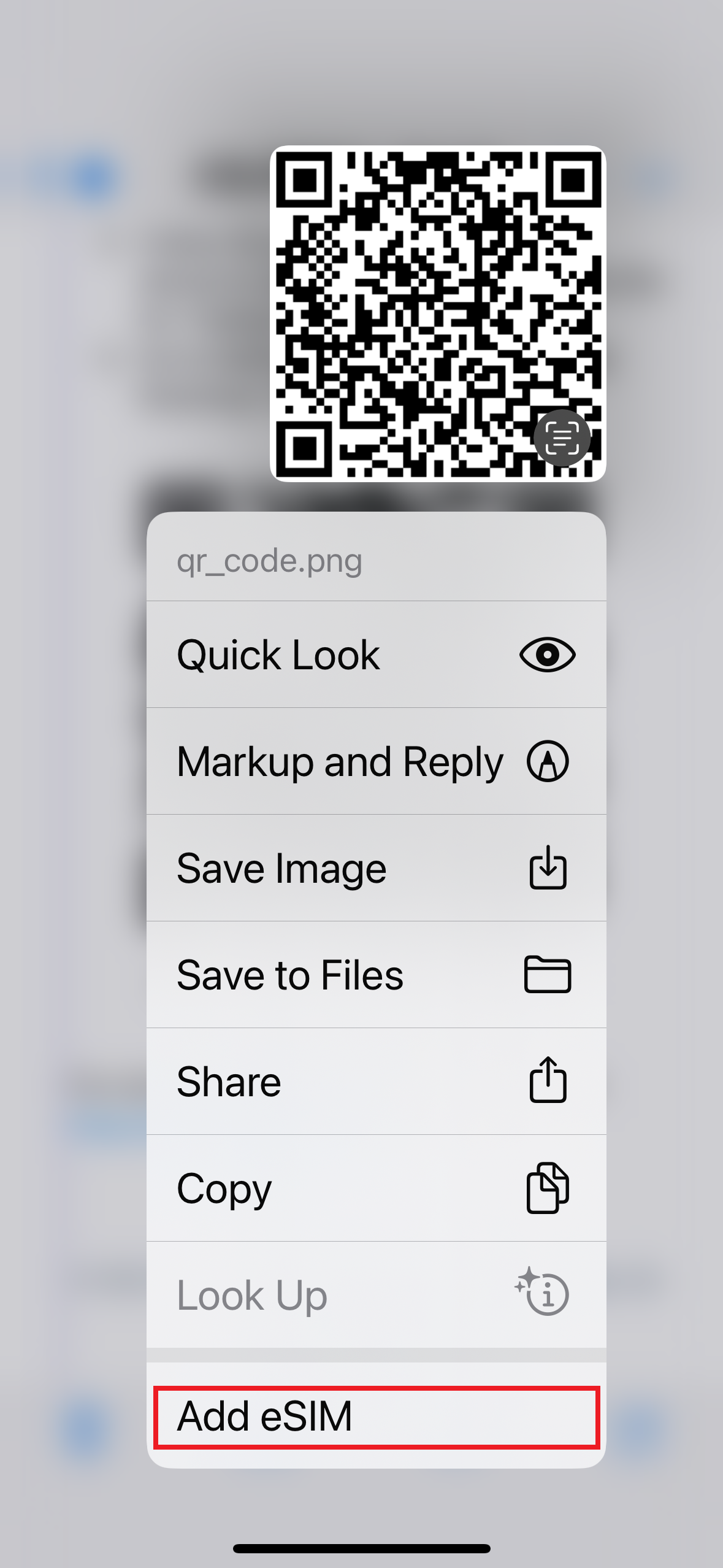 iPhone eSIM QR activation.png